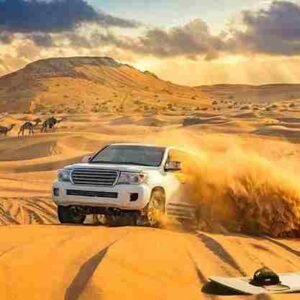 desert safari – vip majlis