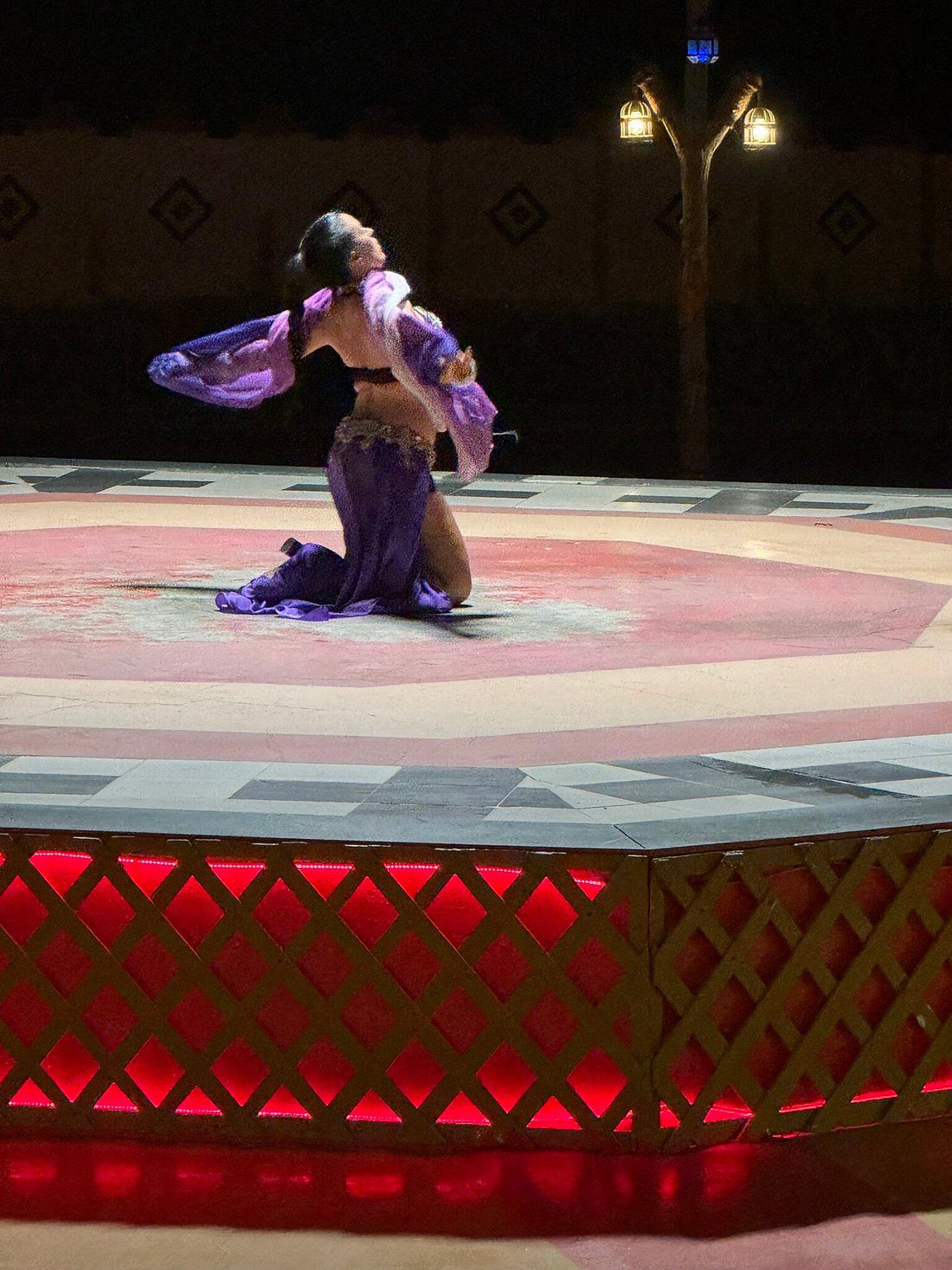 Belly Dance & Live shows