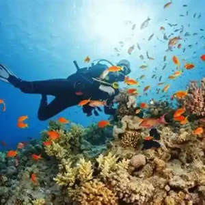scuba diving tour