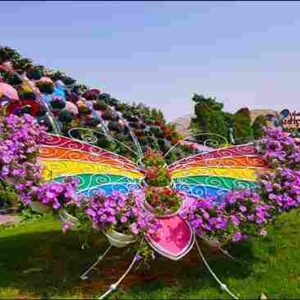 butterfly garden dubai