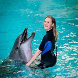 dubai dolphinarium – dolphin meet & greet (sharing)
