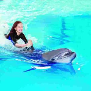 dubai dolphinarium – dolphin meet & greet private