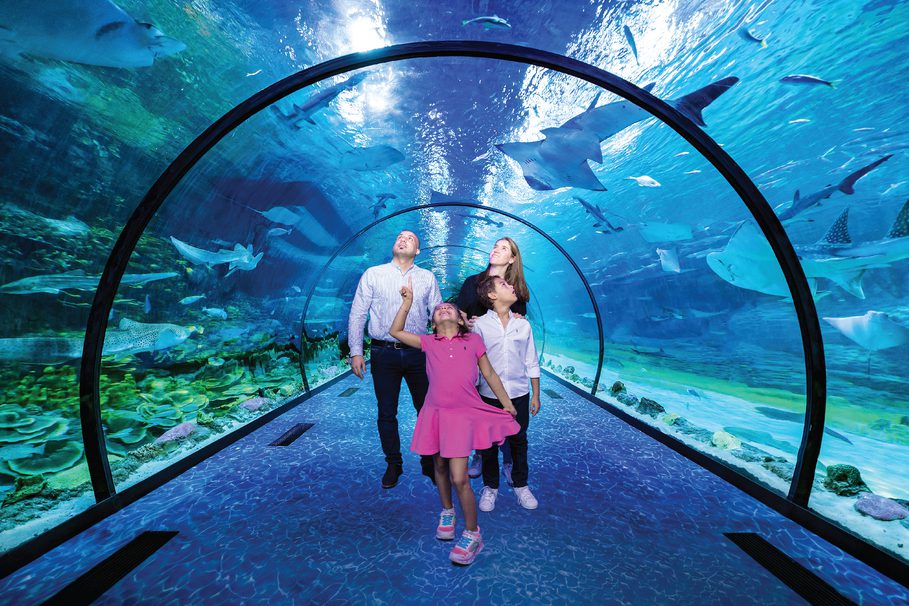 Behind the scenes Beyond the Glass experience at The National Aquarium Abu Dhabi with guided marine tour