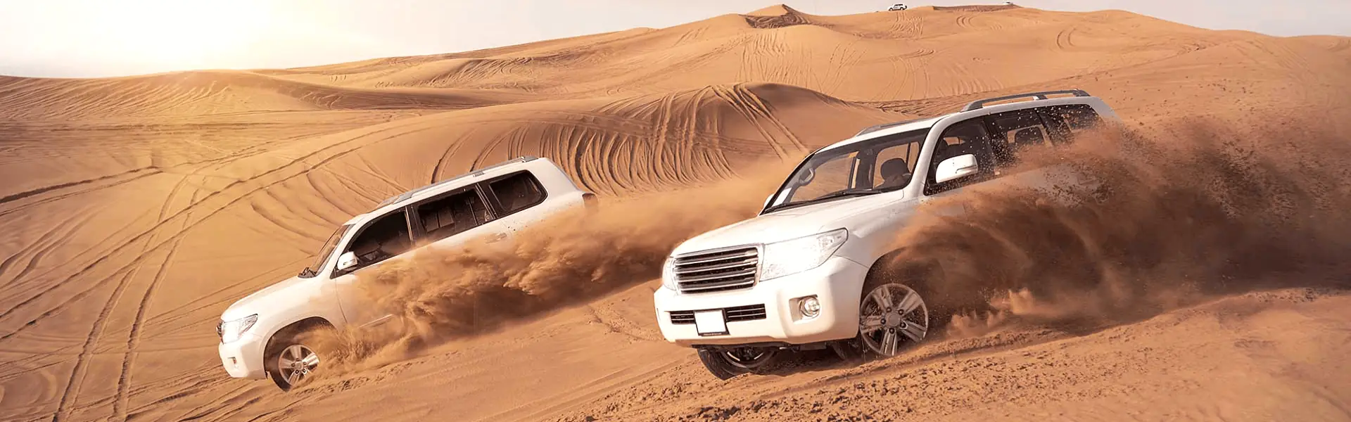 Desert Safari from Ajman red sand dunes, BBQ, belly dance and more