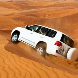 Private 4x4 dune bashing during private desert safari Dubai