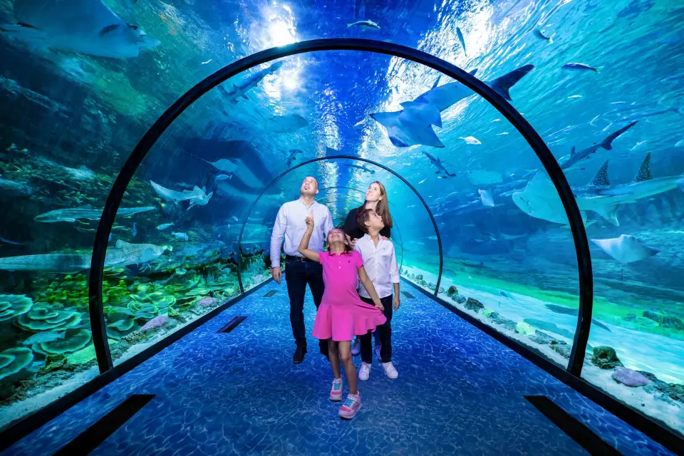 Visitors walking through the underwater tunnel at The National Aquarium Abu Dhabi surrounded by sharks and rays
